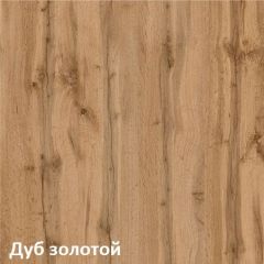 Вуди Шкаф для одежды 13.138 в Кургане - kurgan.mebel24.online | фото 4