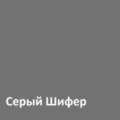 Юнона Шкаф торцевой 13.221 в Кургане - kurgan.mebel24.online | фото 2