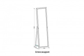 АЛЕКСАНДРИЯ-9.1 Зеркало напольное в Кургане - kurgan.mebel24.online | фото 2