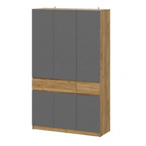 АВИНЬОН Прихожая Шкаф 3-х створчатый с ящиками в Кургане - kurgan.mebel24.online | фото