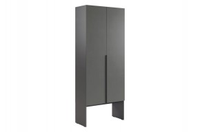 БАСКО Шкаф двухдверный L800 (графит) в Кургане - kurgan.mebel24.online | фото