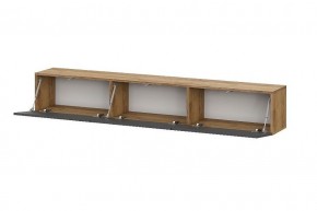 БАЙКАЛ Тумба (Графит/Дуб золотой) в Кургане - kurgan.mebel24.online | фото 2