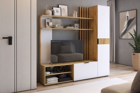 БЕРИ К1 Гостиная в Кургане - kurgan.mebel24.online | фото
