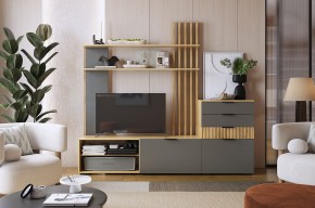 БЕРИ К3 Гостиная в Кургане - kurgan.mebel24.online | фото 2