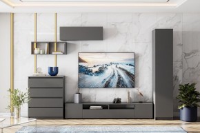 ДЕНВЕР Гостиная (Варианнт-1) Графит серый в Кургане - kurgan.mebel24.online | фото