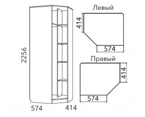 Детская Фанк Шкаф угловой Левый/Правый НМ 013.04-02 М в Кургане - kurgan.mebel24.online | фото 3