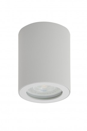 DK3007-WH Накладной светильник влагозащ., IP 44, 15 Вт, GU10, белый, алюминий в Кургане - kurgan.mebel24.online | фото 1