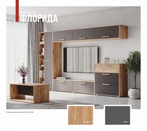 ФЛОРИДА Гостиная (модульная) дуб золотой/графит в Кургане - kurgan.mebel24.online | фото