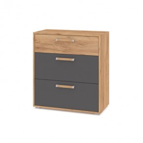 ФЛОРИДА Гостиная (модульная) дуб золотой/графит в Кургане - kurgan.mebel24.online | фото 8