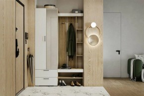 Гарнитур для прихожей Торонто в Кургане - kurgan.mebel24.online | фото 5