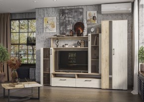 Гостиная Эмма (Дуб Крафт серый/белый) в Кургане - kurgan.mebel24.online | фото