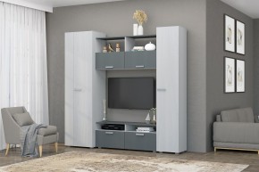 Гостиная Эмми (Анкор светлый/Графит) в Кургане - kurgan.mebel24.online | фото