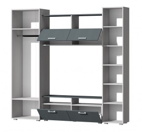 Гостиная Эмми (Анкор светлый/Графит) в Кургане - kurgan.mebel24.online | фото 3