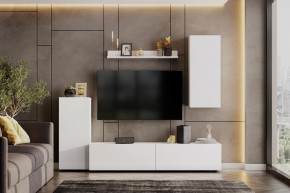 Гостиная МГС 10 (Белый текстурный) в Кургане - kurgan.mebel24.online | фото 1