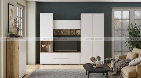 МИЛАН-1 Гостиная (модульная) в Кургане - kurgan.mebel24.online | фото 10