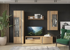 Гостиная Омега (Крафт золотой-Бетон) в Кургане - kurgan.mebel24.online | фото