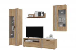 Гостиная Омега (Крафт золотой-Бетон) в Кургане - kurgan.mebel24.online | фото 2