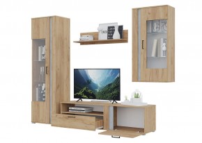 Гостиная Омега (Крафт золотой-Бетон) в Кургане - kurgan.mebel24.online | фото 4