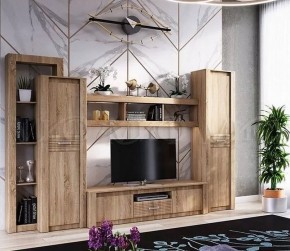 ТЕРРА Гостиная Вариант №1 МДФ (Дуб сонома) в Кургане - kurgan.mebel24.online | фото