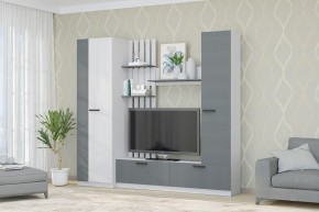 Гостиная Юджи (Анкор светлый/Графит) в Кургане - kurgan.mebel24.online | фото