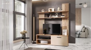 КАРОЛИНА Гостиная (дуб вотан/кашемир) в Кургане - kurgan.mebel24.online | фото