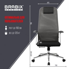 Кресло офисное BRABIX PREMIUM "Ultimate EX-801" хром, плотная двойная сетка Х2, черное/серое, 532918 в Кургане - kurgan.mebel24.online | фото 5