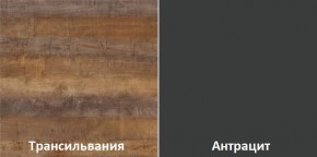 Кухонный гарнитур угловой Трансильвания 2400x1600 мм (Стол. 38 мм) в Кургане - kurgan.mebel24.online | фото 3