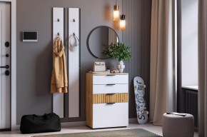 МЕБЕЛЬСОН К21 Прихожая в Кургане - kurgan.mebel24.online | фото