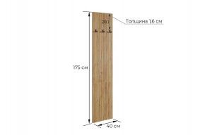 МЕБЕЛЬСОН К6 Прихожая в Кургане - kurgan.mebel24.online | фото 6