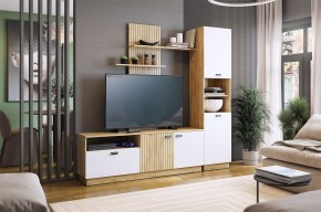 МОДИ К1 Гостиная (белое дерево) в Кургане - kurgan.mebel24.online | фото