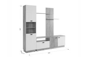 МОДИ К1 Гостиная (белое дерево) в Кургане - kurgan.mebel24.online | фото 2
