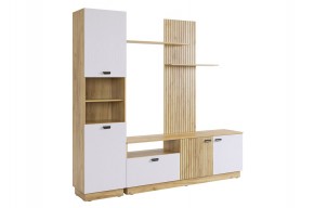 МОДИ К1 Гостиная (белое дерево) в Кургане - kurgan.mebel24.online | фото 6