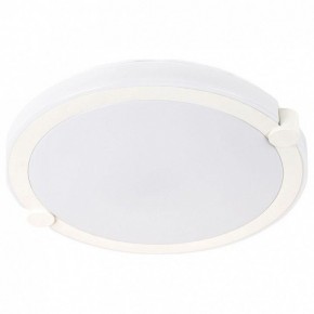 Накладной светильник Arte Lamp Biscotti A2679PL-72WH в Кургане - kurgan.mebel24.online | фото