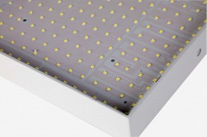 Накладной светильник Favourite Flashled 2066-30C в Кургане - kurgan.mebel24.online | фото 2