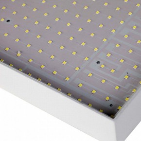Накладной светильник Favourite Flashled 2066-30C в Кургане - kurgan.mebel24.online | фото 4