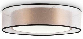 Накладной светильник Freya Zoticus FR6005CL-L36G в Кургане - kurgan.mebel24.online | фото 2