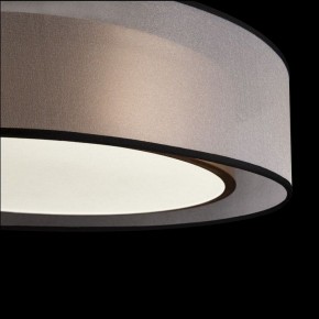 Накладной светильник Freya Zoticus FR6005CL-L36G в Кургане - kurgan.mebel24.online | фото 4