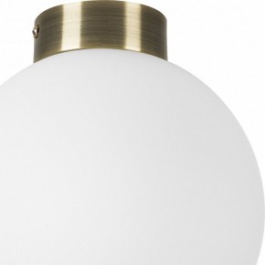 Накладной светильник Lightstar Globo 812021 в Кургане - kurgan.mebel24.online | фото 3