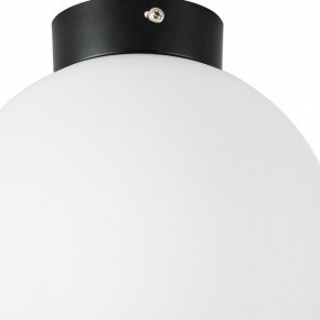 Накладной светильник Lightstar Globo 812027 в Кургане - kurgan.mebel24.online | фото 2