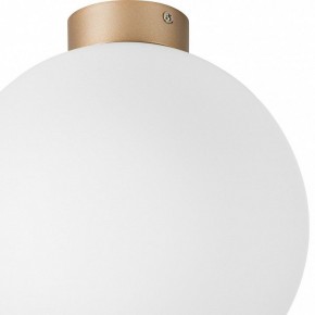 Накладной светильник Lightstar Globo 812033 в Кургане - kurgan.mebel24.online | фото 2