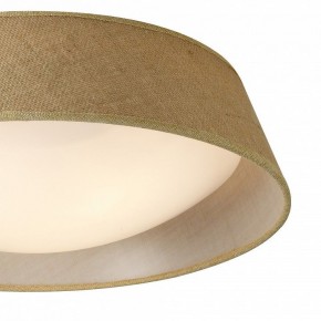 Накладной светильник Mantra Sabina 6413 в Кургане - kurgan.mebel24.online | фото 3
