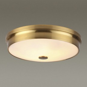 Накладной светильник Odeon Light Marsei 4824/4C в Кургане - kurgan.mebel24.online | фото 2