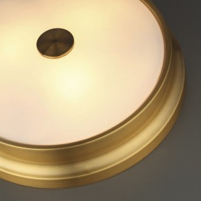 Накладной светильник Odeon Light Marsei 4824/4C в Кургане - kurgan.mebel24.online | фото 5