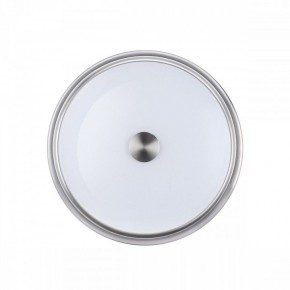 Накладной светильник Odeon Light Marsei 4825/3C в Кургане - kurgan.mebel24.online | фото 2