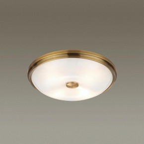 Накладной светильник Odeon Light Pelow 4956/4 в Кургане - kurgan.mebel24.online | фото 2