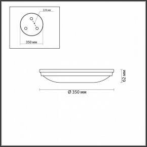 Накладной светильник Odeon Light Pelow 4956/4 в Кургане - kurgan.mebel24.online | фото 3