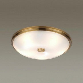 Накладной светильник Odeon Light Pelow 4956/5 в Кургане - kurgan.mebel24.online | фото 2