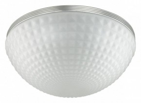 Накладной светильник Odeon Light Pirsa 4937/4C в Кургане - kurgan.mebel24.online | фото 2