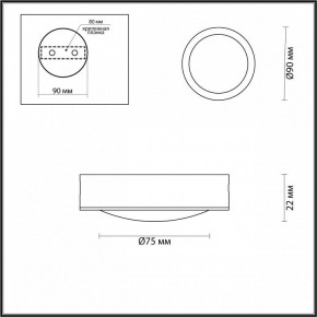 Накладной светильник Odeon Light Reus 4342/7CL в Кургане - kurgan.mebel24.online | фото 4