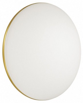 Накладной светильник Sonex Lassa 3043/DL в Кургане - kurgan.mebel24.online | фото 4